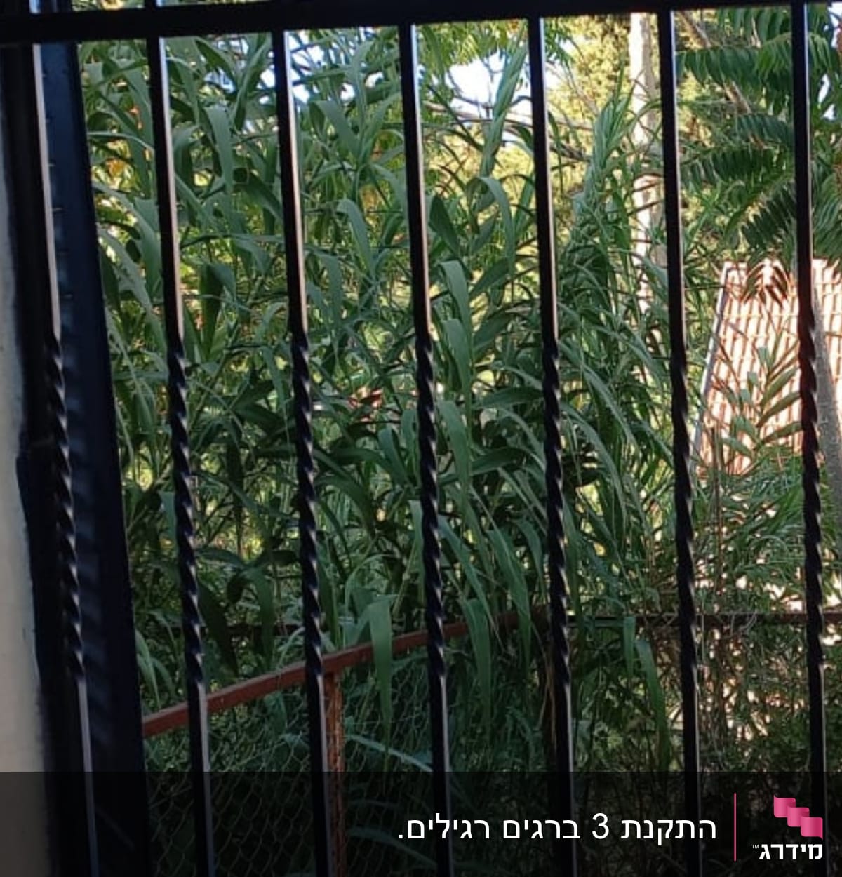 סורגי מתכת שחורים עם צמחייה ברקע